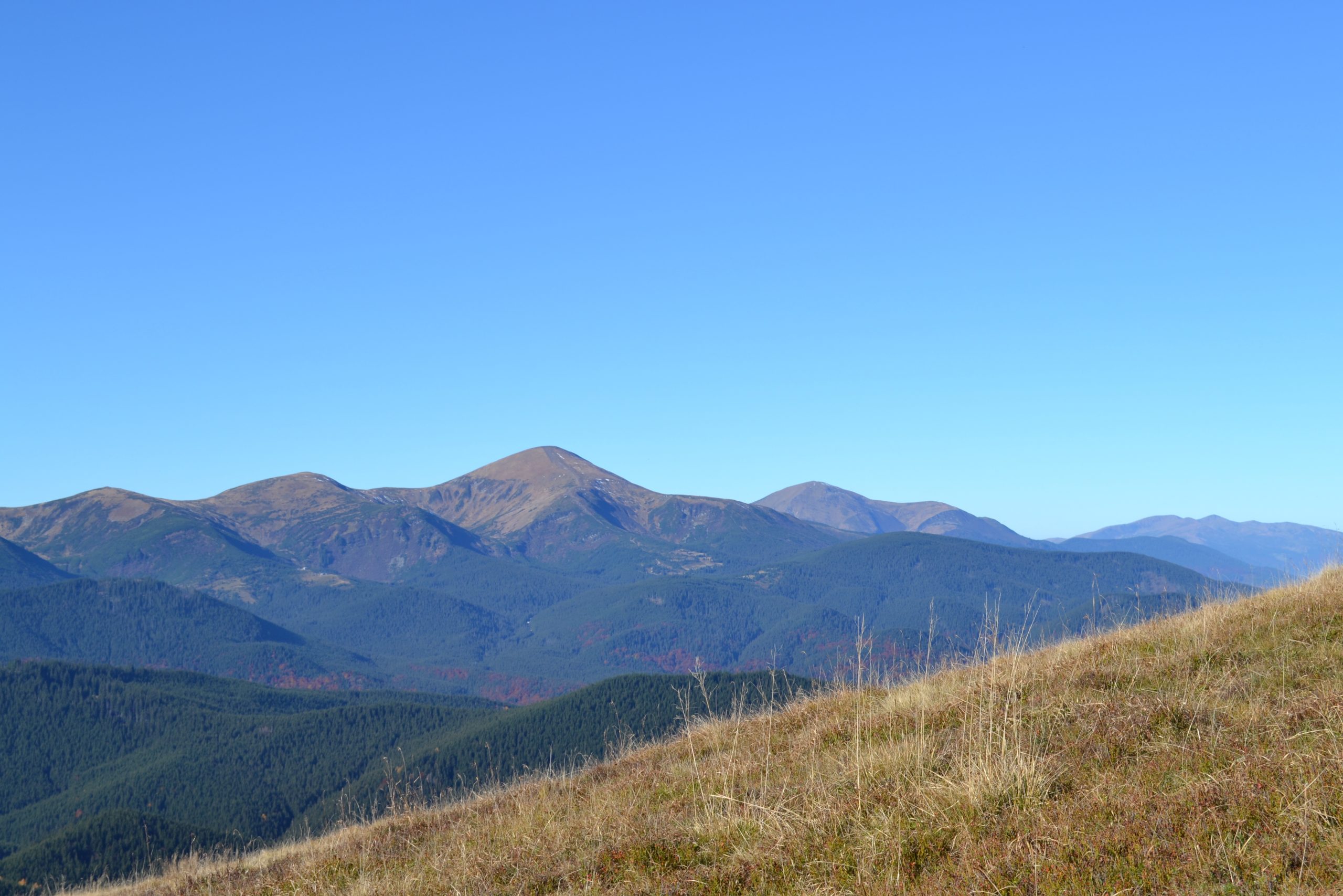 hoverla_z_kostricha